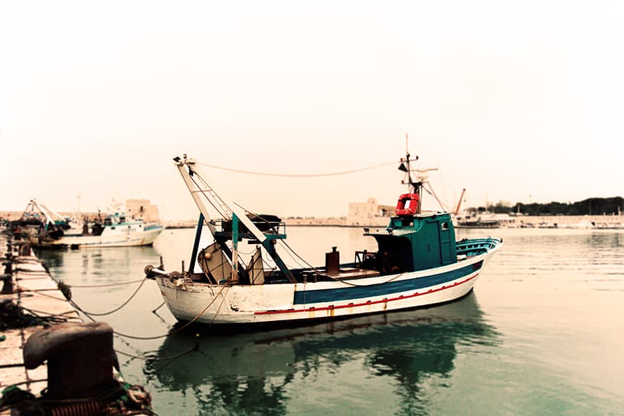 Fishing Boat, Trani, Puglia (2010)