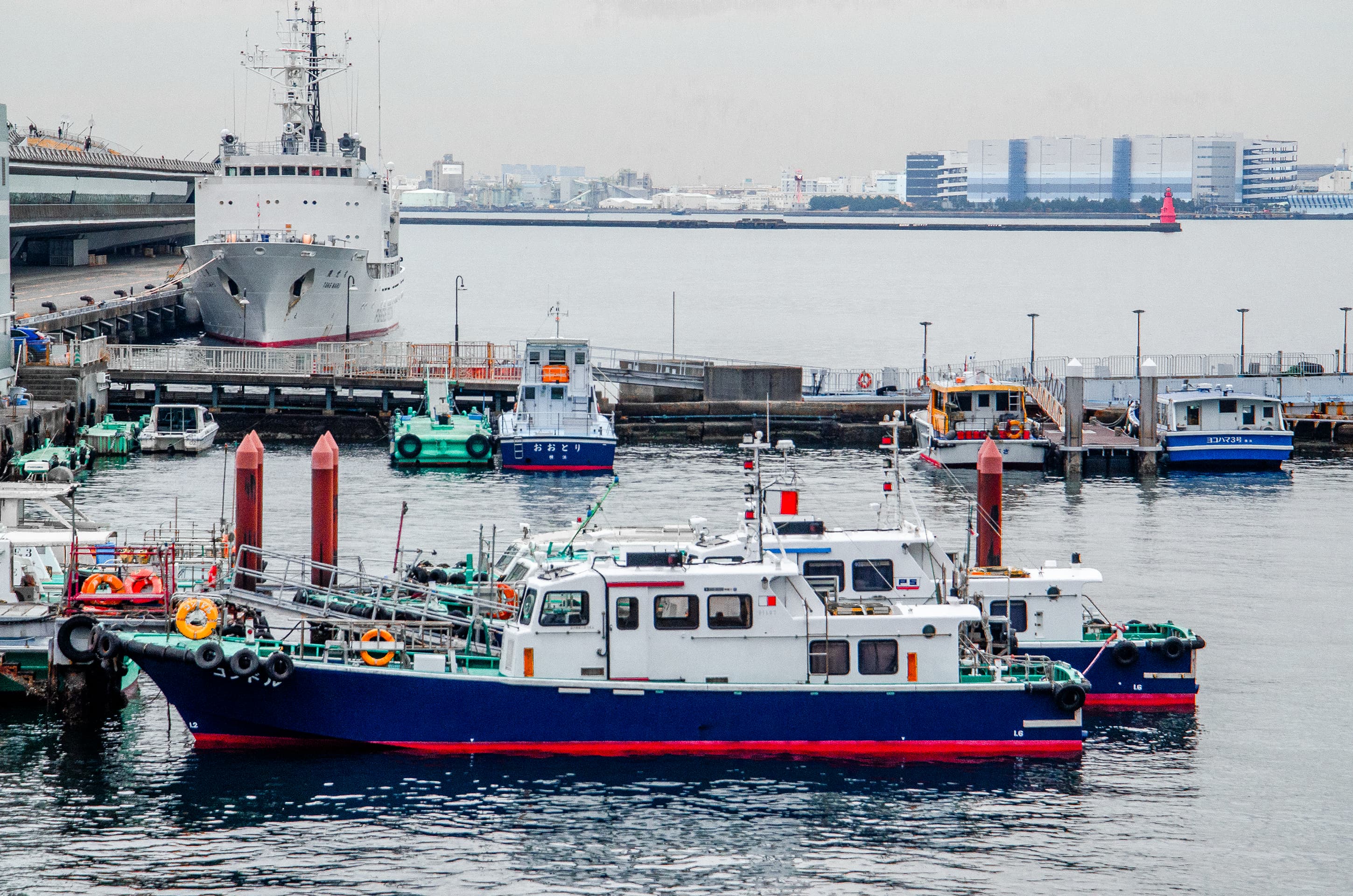 Yokohama, Japan (2025)