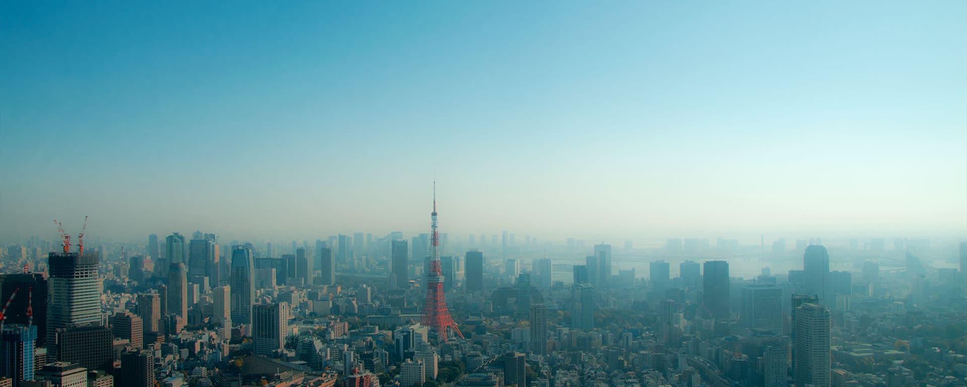 Tokyo Skyline (2011)