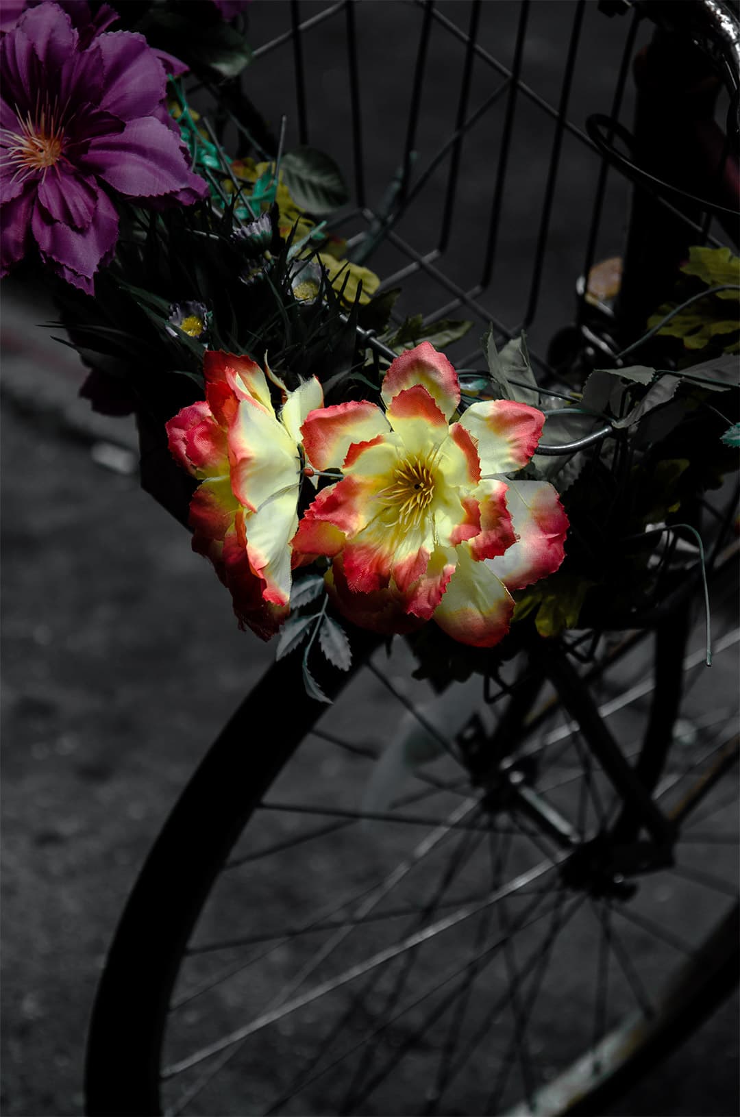 Bicycle, Manhattan (2016)